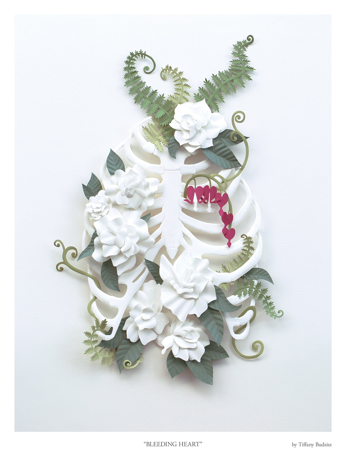 Art Prints and Posters