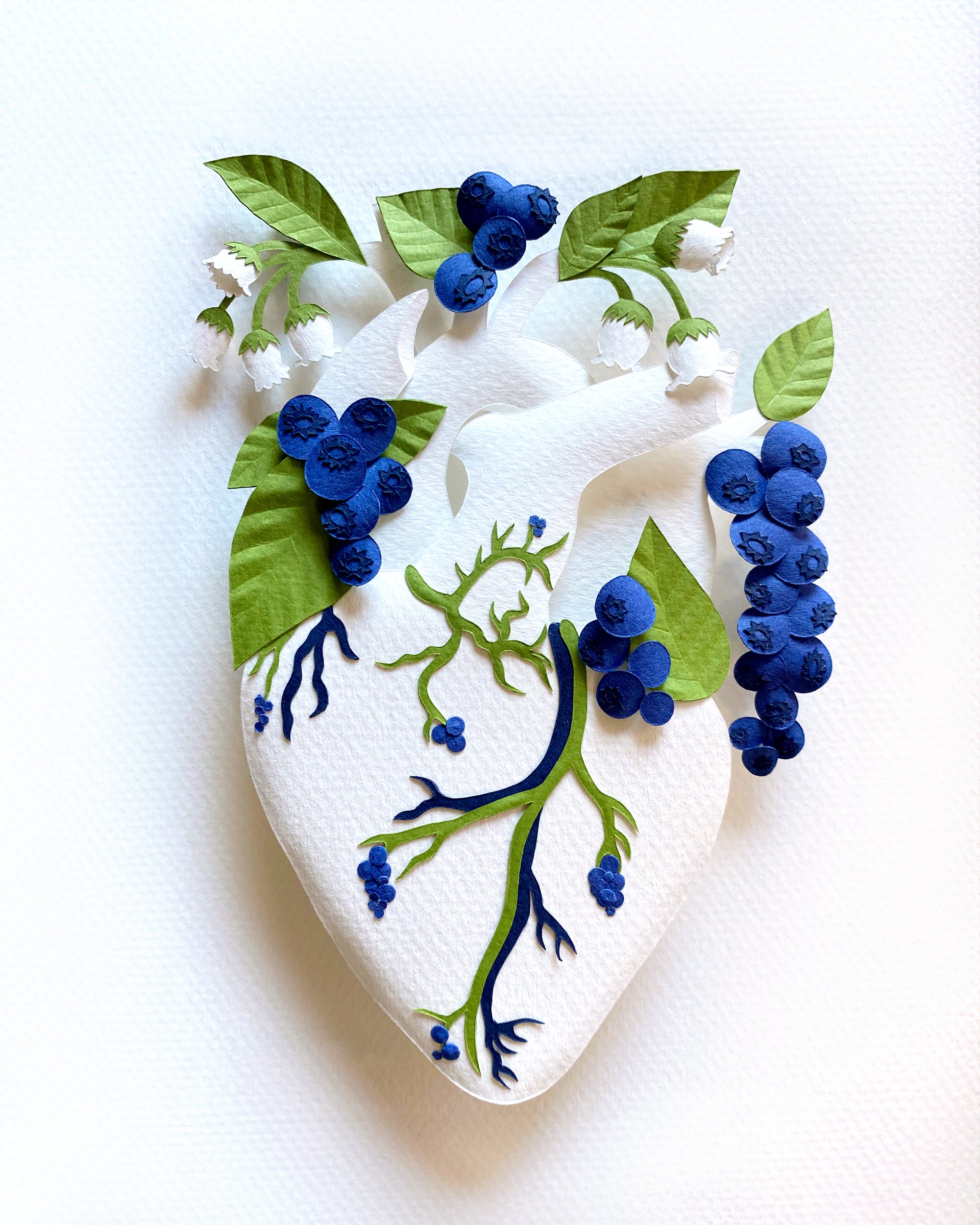 Anatomical heart with blueberries made of cut paper