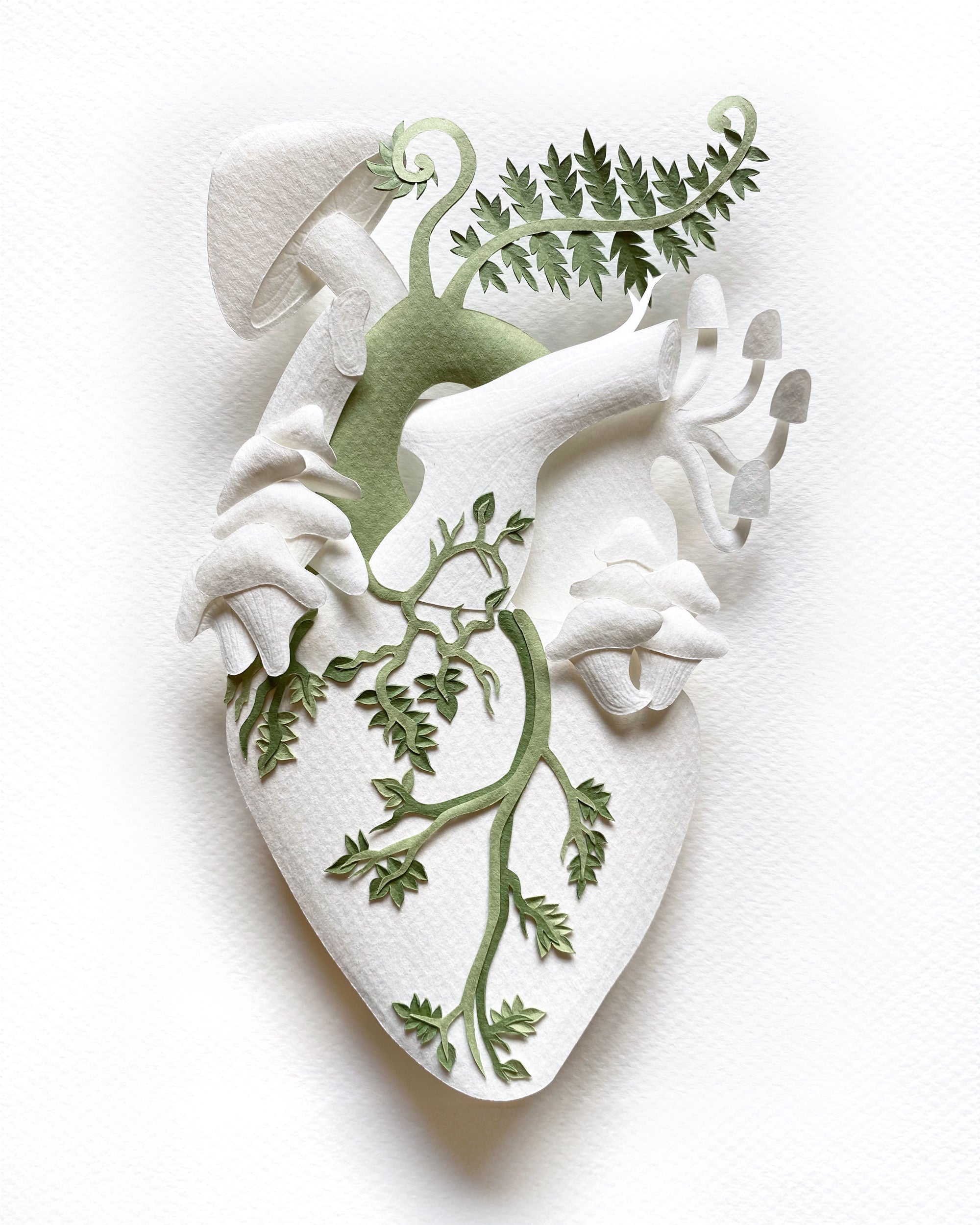 Antomical heart with ferns and mushrooms made with hand cut paper