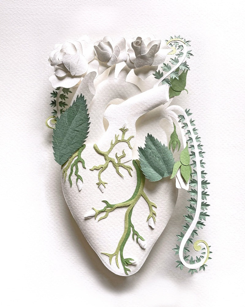 anatomical heart with roses made of hand cut paper