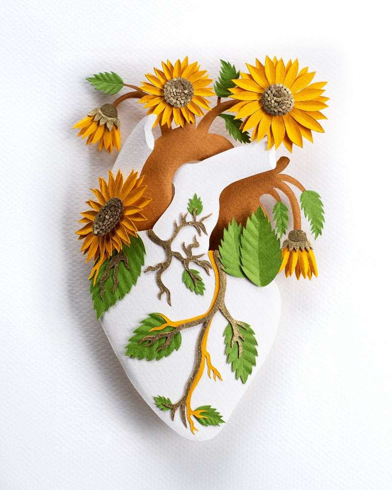 Anatomical heart and sunflowers made of cut paper