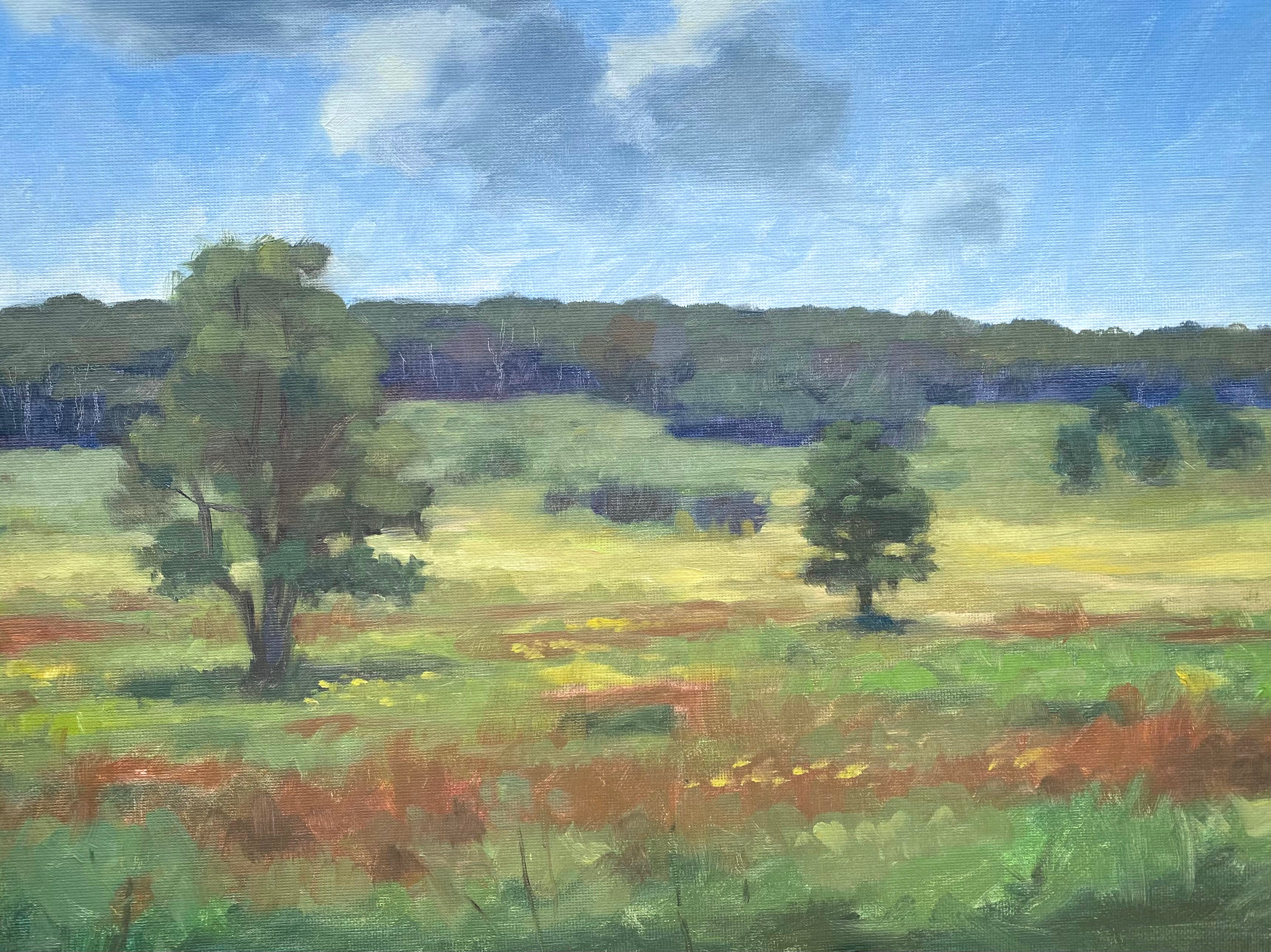 Big Meadows