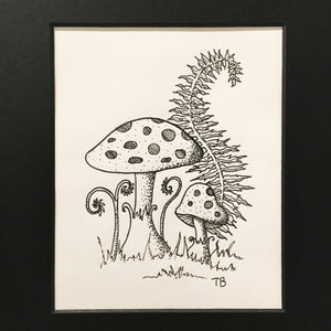 two mushrooms, ferns, pen and ink drawing on paper. 