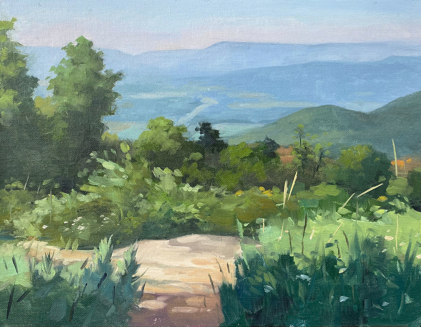 Summer on the Skyline