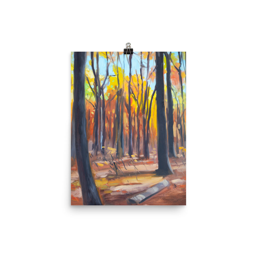 Autumn Forest Art Print