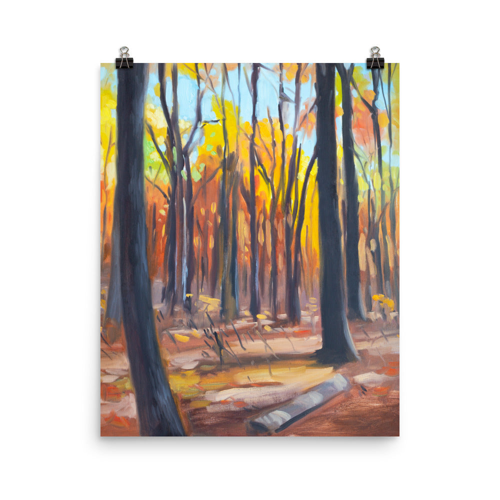 Autumn Forest Art Print