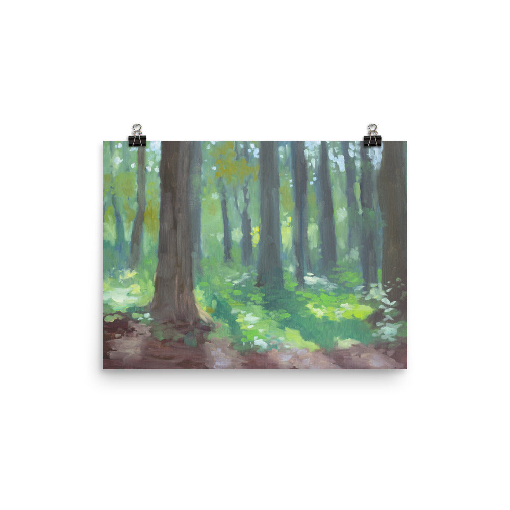 Springtime Forest Art Print