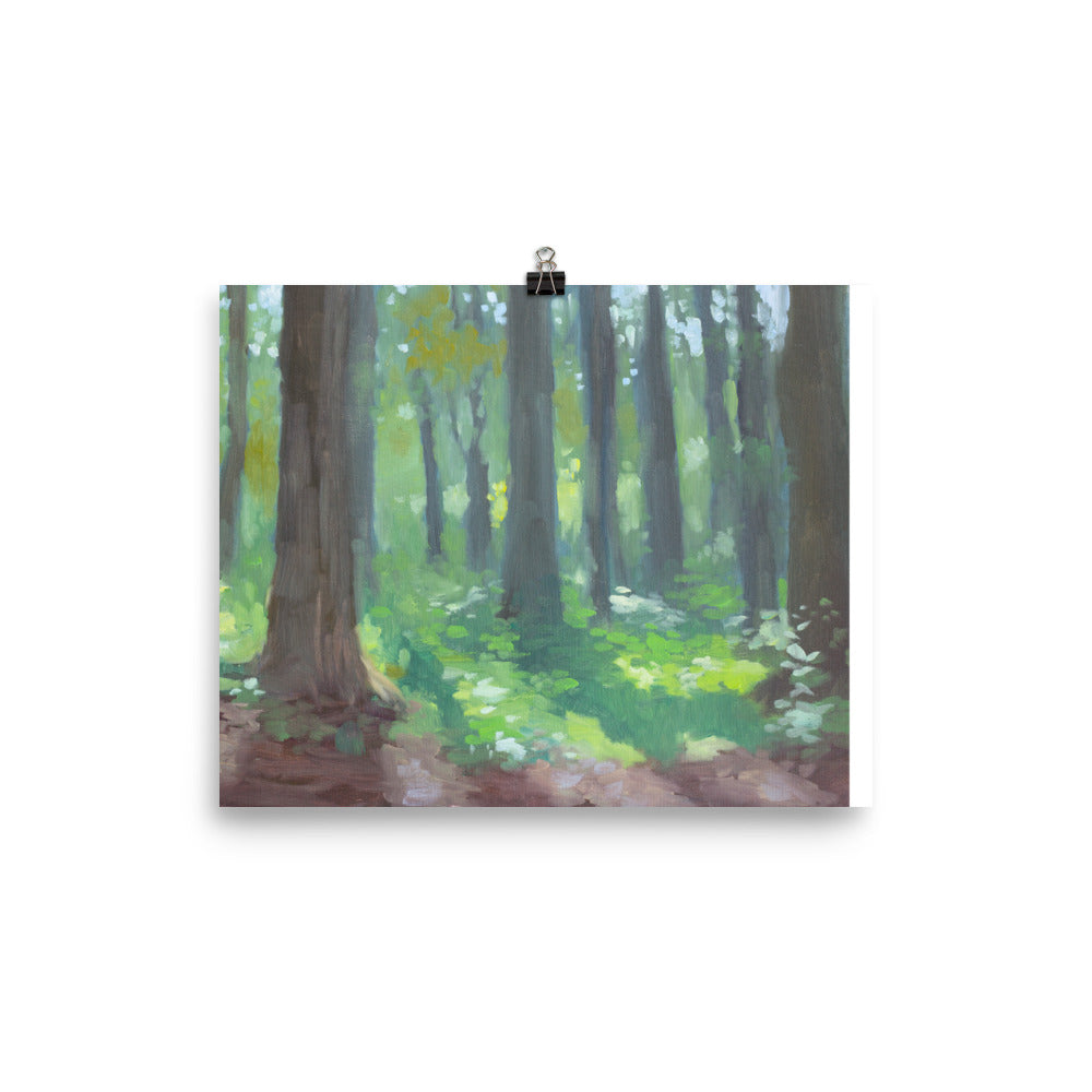 Springtime Forest Art Print
