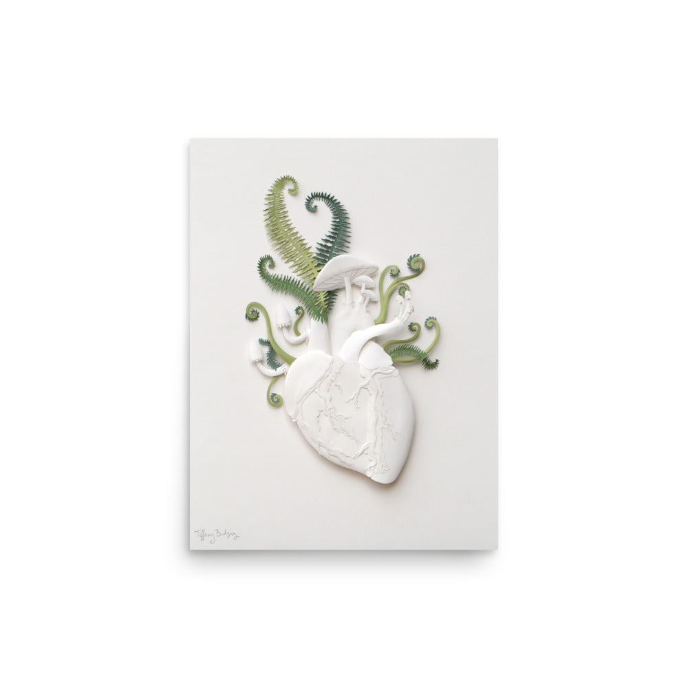 Chambers | fine art print